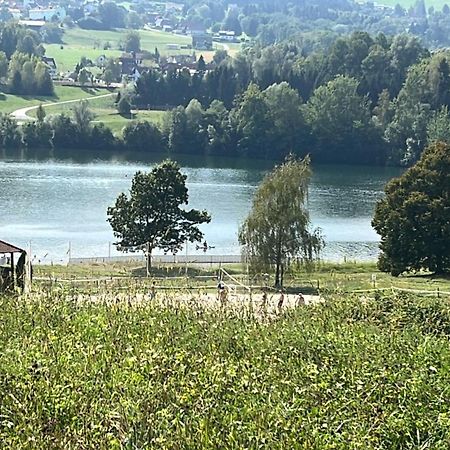 Haus Mit Garten Familie Pabst Maria Lankowitz Ngoại thất bức ảnh